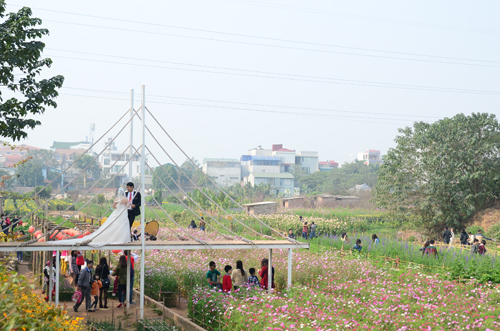 Chụp ảnh dạo - nghề cũ, hồn mới